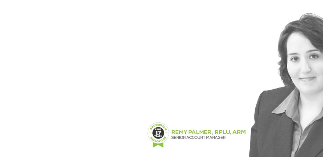 Remy Palmer - Senior Account Manager